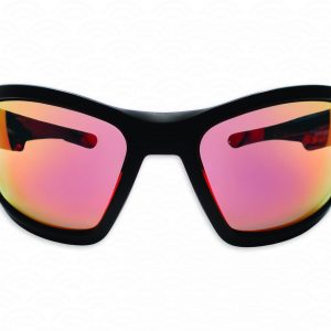 Lunettes Polarisantes PROTECNIUM 320 B3R