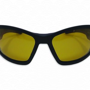 Lunettes Polarisantes PROTECNIUM 200 B2