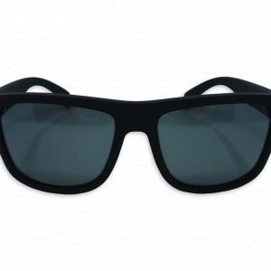 Lunettes Polarisantes PROTECNIUM 300 UN3