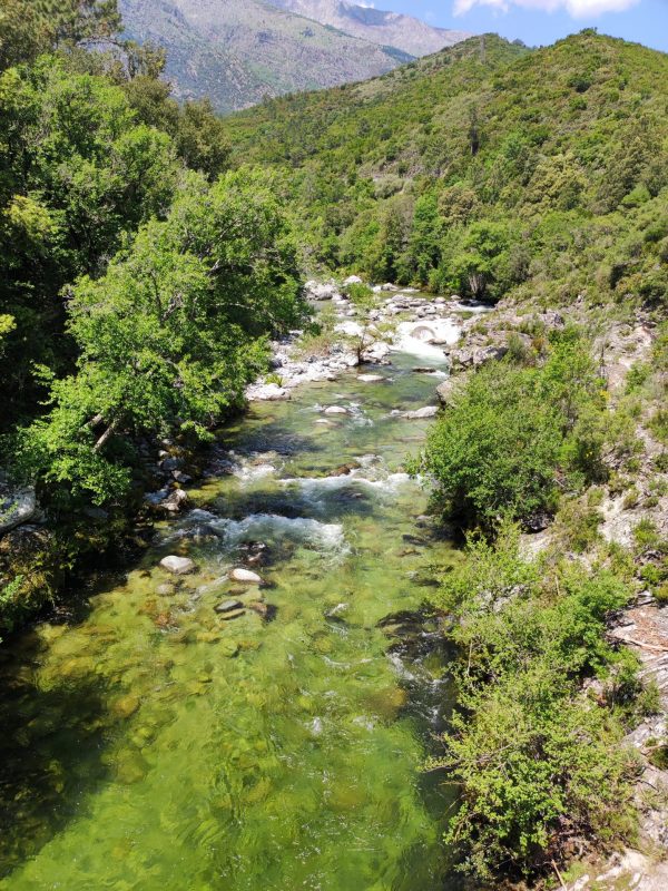 RIVIERE CORSE 1