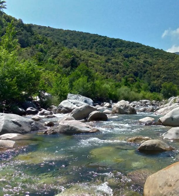 RIVIERE CORSE