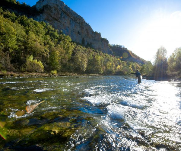 candc_parallax_entreprise