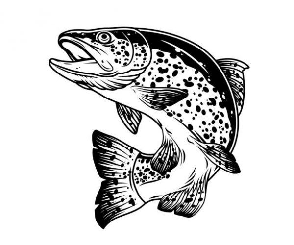 Jumping trout fish vintage template in monochrome style isolated vector illustration